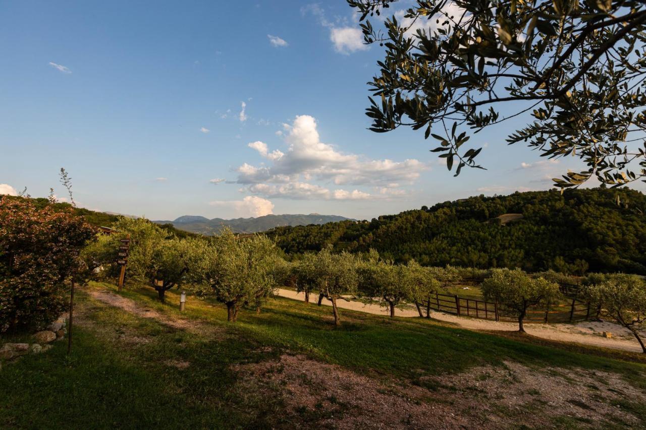 Agriturismo Agrileisuretime Spoleto Exterior photo